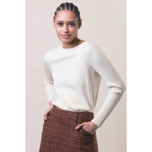 Jersey SINGULAR