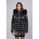 Plumas PHARD 